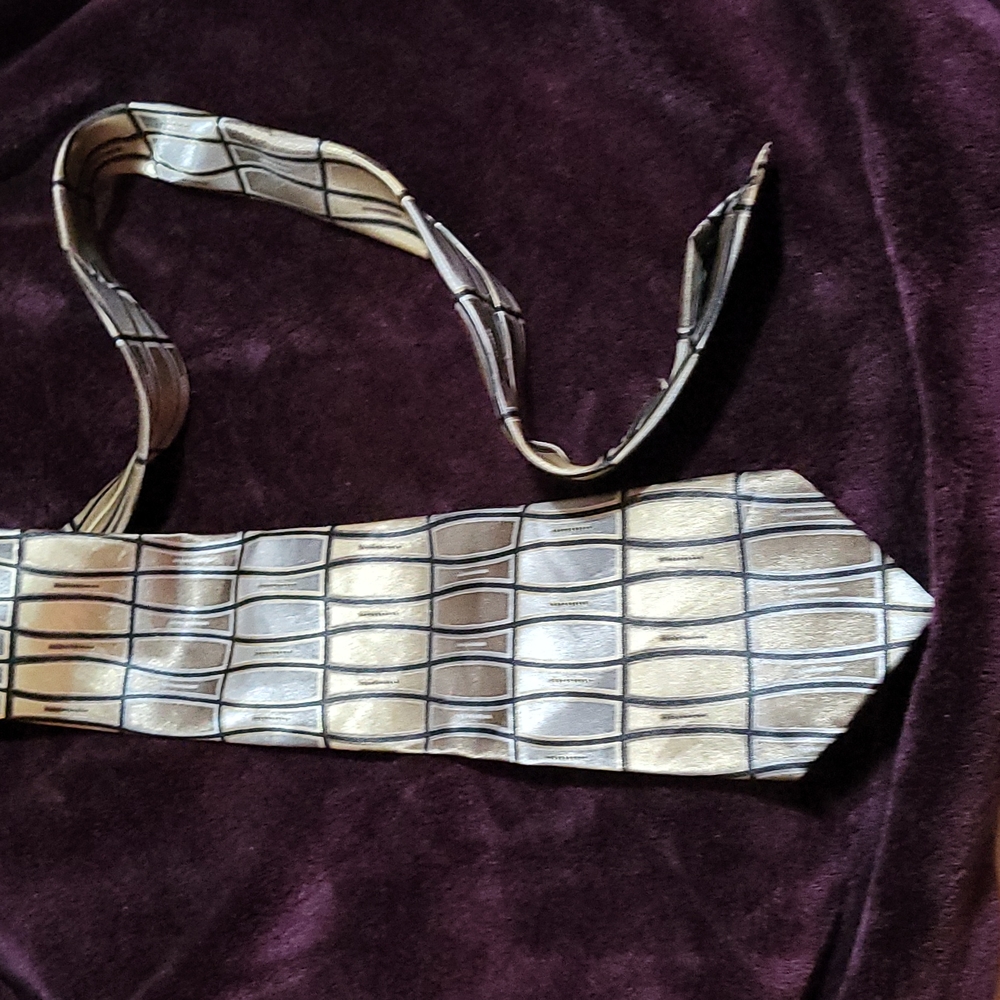 Beverly Hills Polo Club Back silver gold Tie